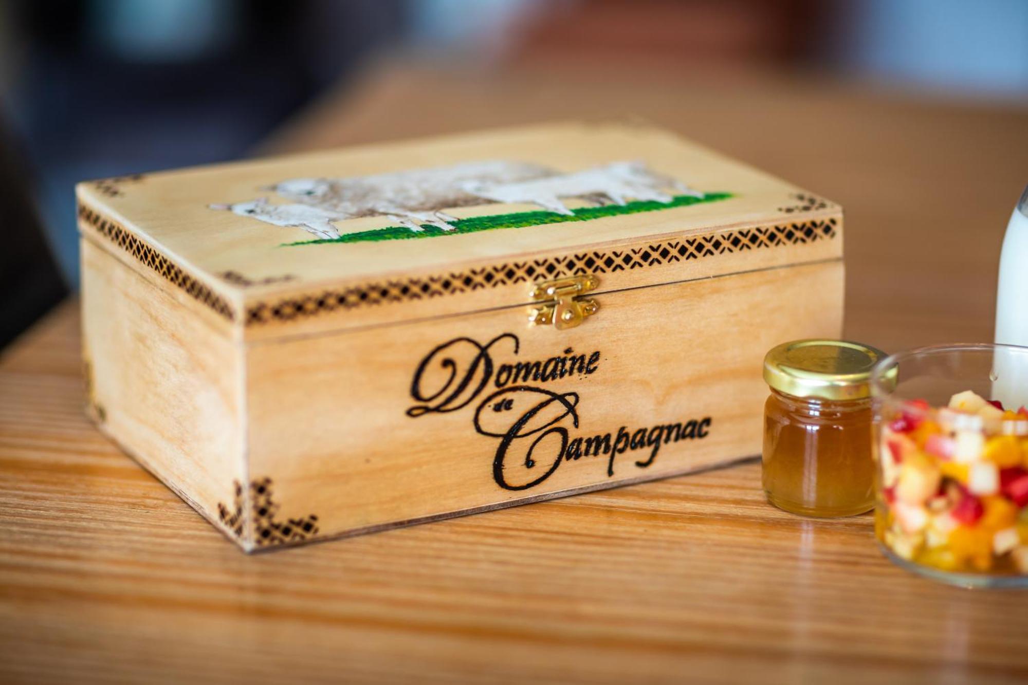 Domaine De Campagnac - Spa & Sauna Carsac-Aillac Kültér fotó